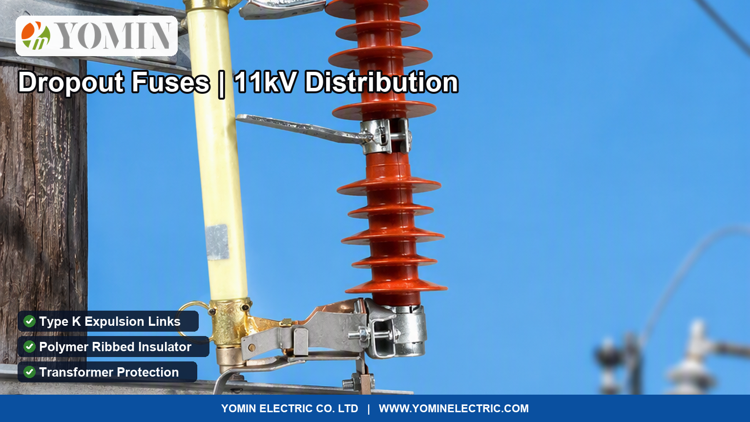Dropout fuse cutouts explained: expulsion clearing, type K vs type T links, polymer vs porcelain insulators, and how dropouts divide protection work with HRC cartridges.
