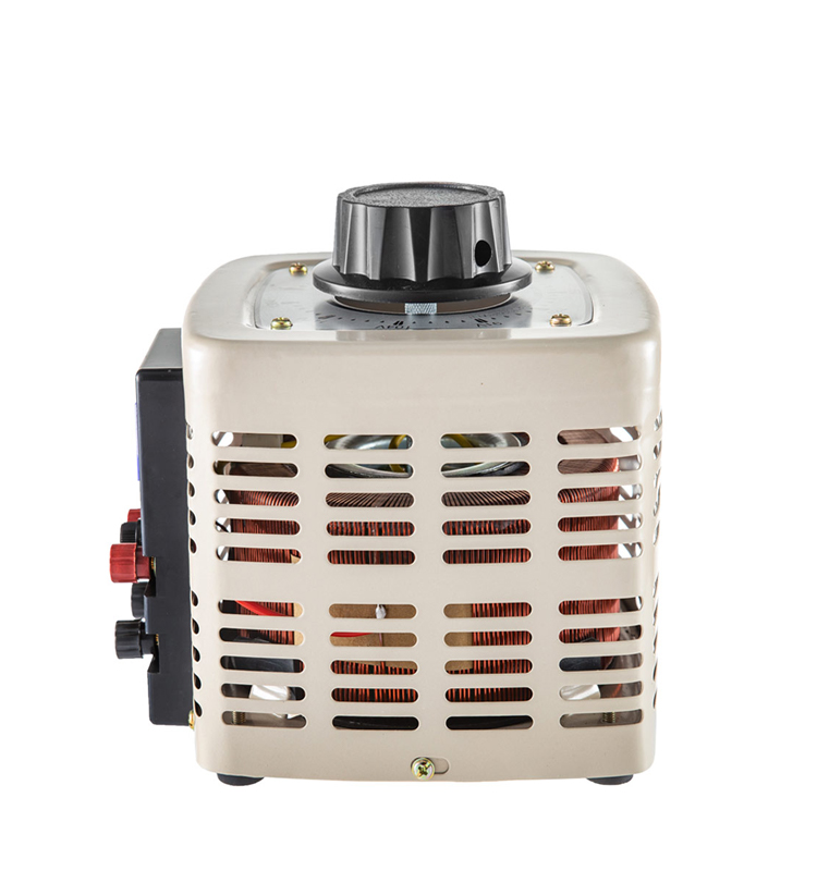 Single Phase AC 1000VA Power Analog Meter Display Contact Automatic Adjustable Variac Variable Transformer Voltage Regulators