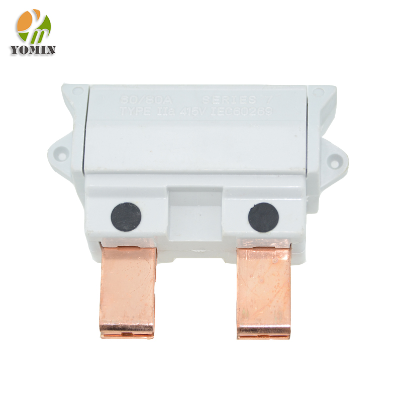 1501 Bakelite 60/80A 1p+n High-Breaking Capacity House Service Cut Out Fuse 500V Rated Voltage